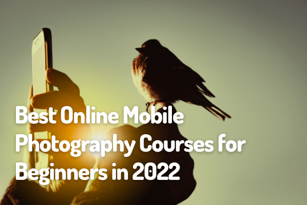 Best Online Mobile photography courses for beginners in 2022